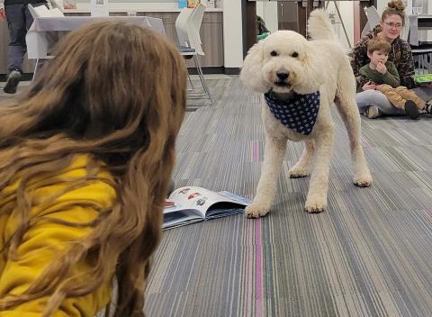 Ruff Readers