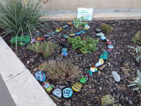 Painted rock snake