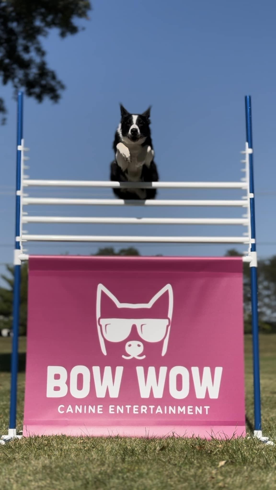 Dog Agility Show